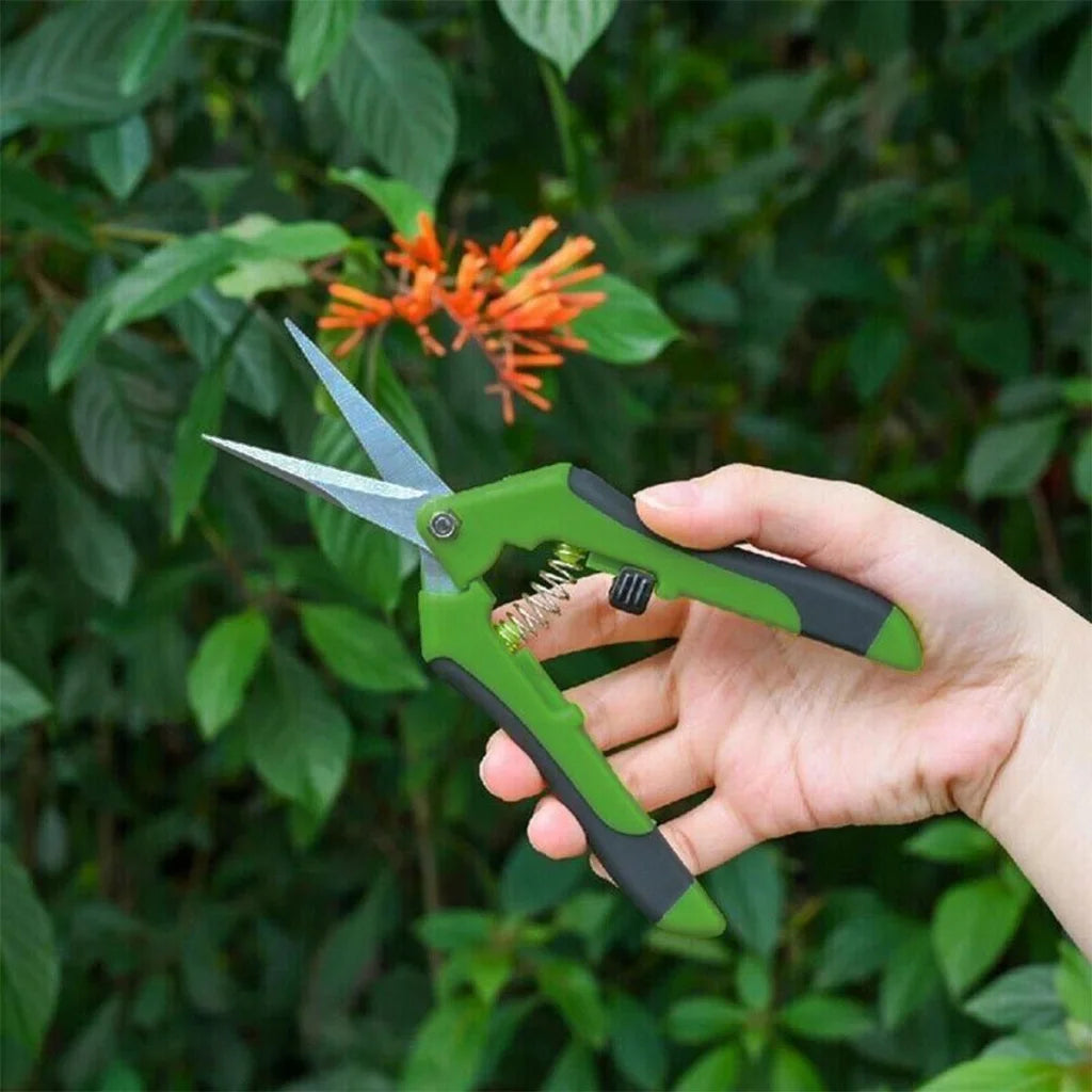 2Pcs Pruning Shears Plant Scissors Trim Trees Snips Branch