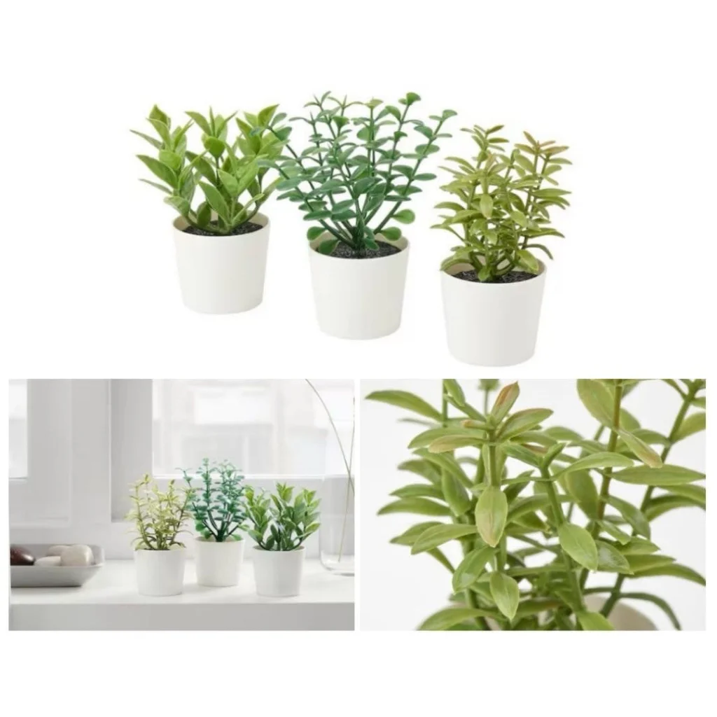 3 Pack of Artificial Herb Potted Plants in White Plastic