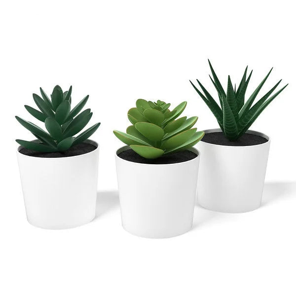 3 Pack of Artificial Succulent Potted Plants in White