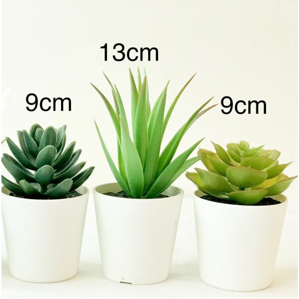 3 Pack of Artificial Succulent Potted Plants in White