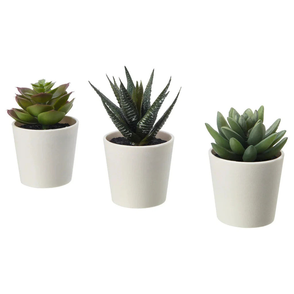 3 Pack of Artificial Succulent Potted Plants in White