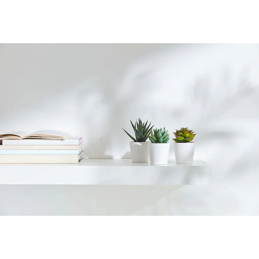3 Pack of Artificial Succulent Potted Plants in White