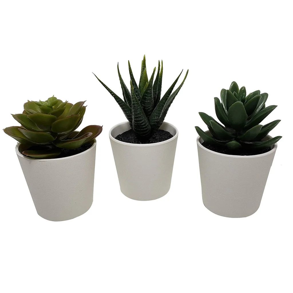 3 Pack of Artificial Succulent Potted Plants in White