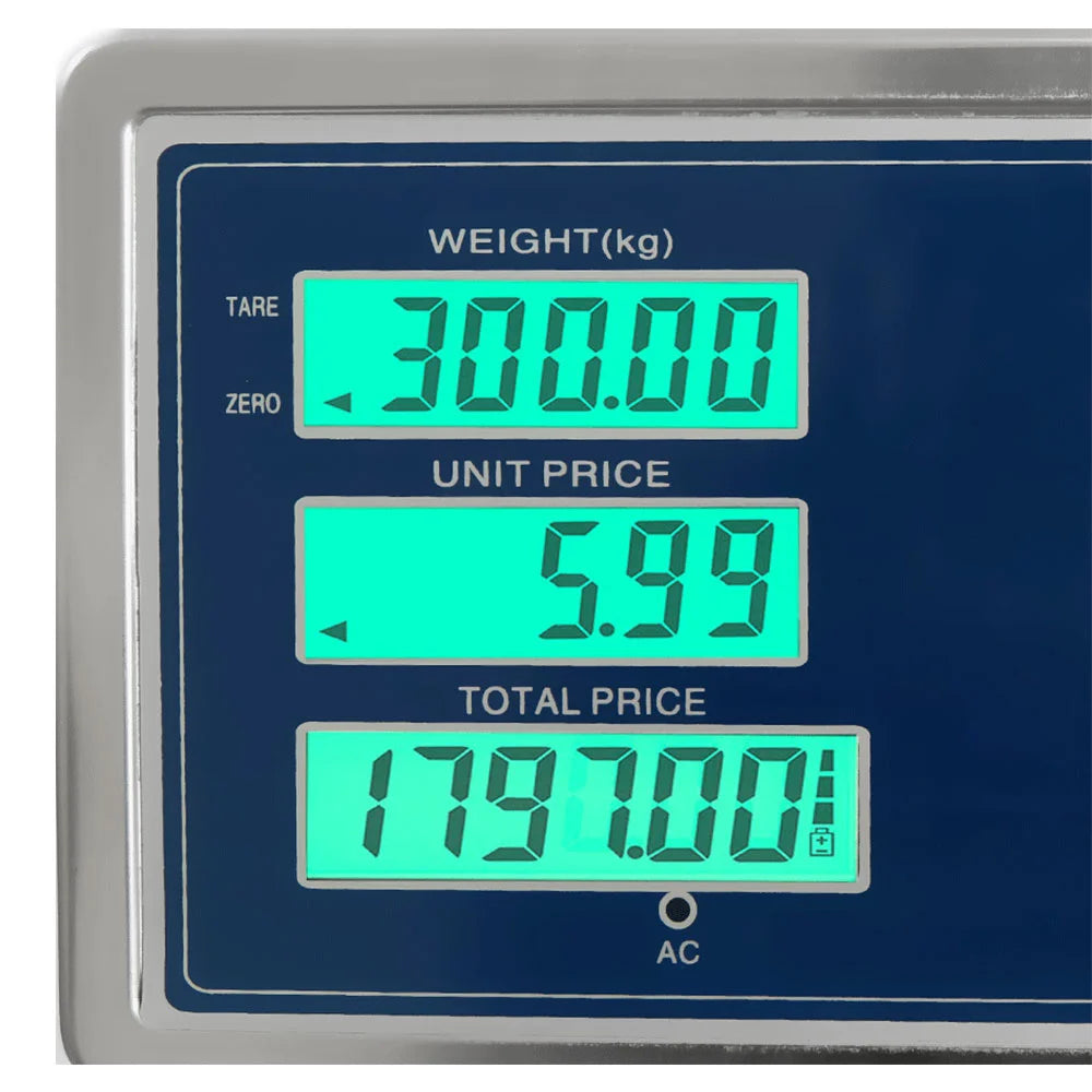 300kg Electronic Digital Platform Scale Computing Postal