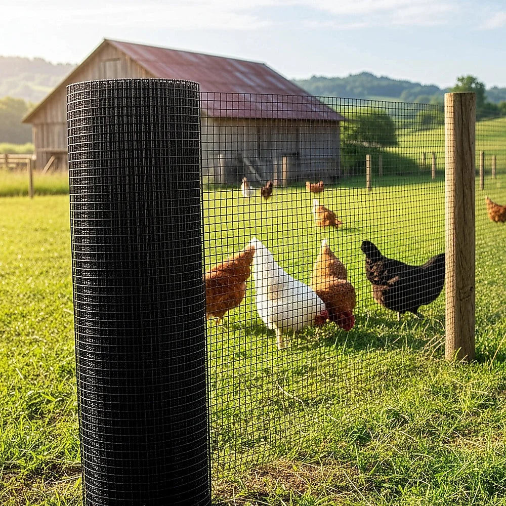 30m Black Chicken Wire Mesh Roll – Aviary & Garden Fencing