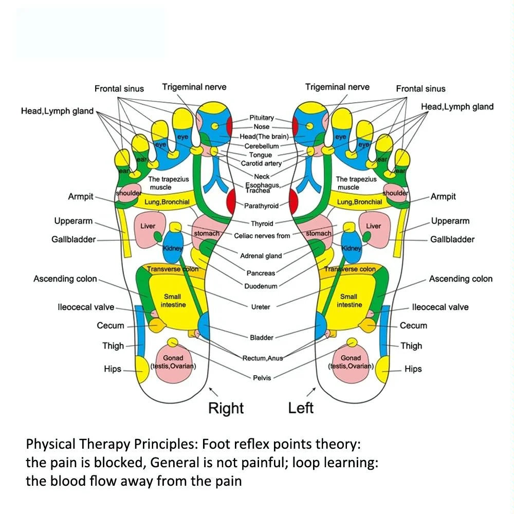 35Cm Imitation Stone Foot Massage Pad Pain Relief &