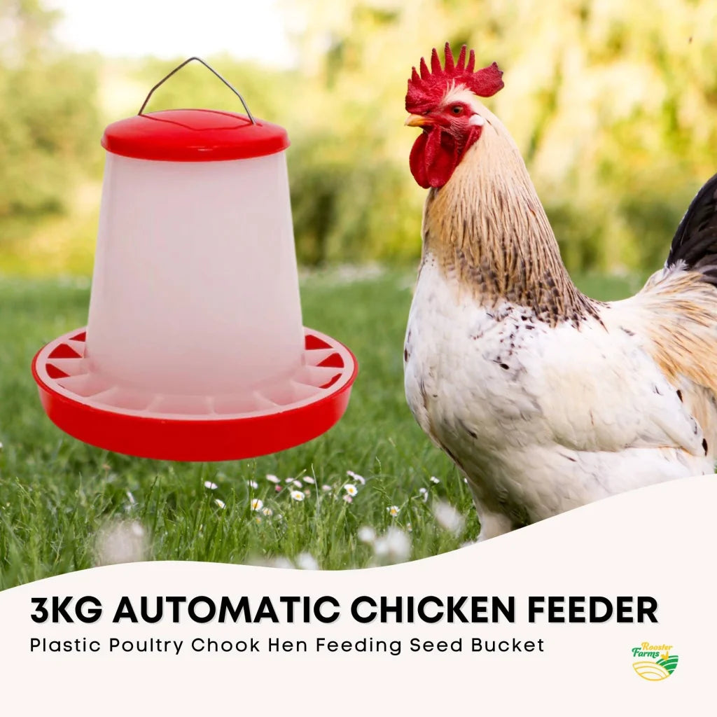 3Kg Automatic Chicken Feeder Plastic Poultry