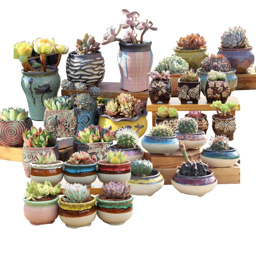4/5/6 Pots Set Ceramic Clay Pottery Pots Succulent Flower