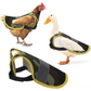 4 Pcs Fluorescent Green High Visibility Chicken & Duck