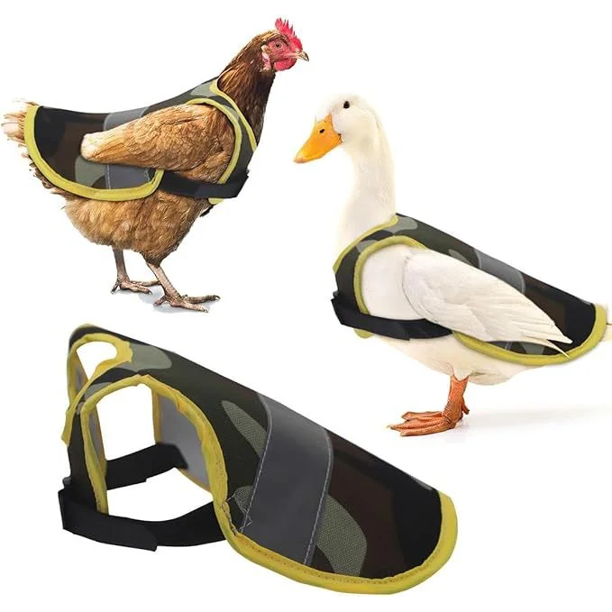 4 Pcs Fluorescent Green High Visibility Chicken & Duck