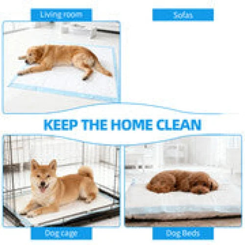 400pcs Dog Absorbent Training Pad 60 x 60 cm - Pet Care >