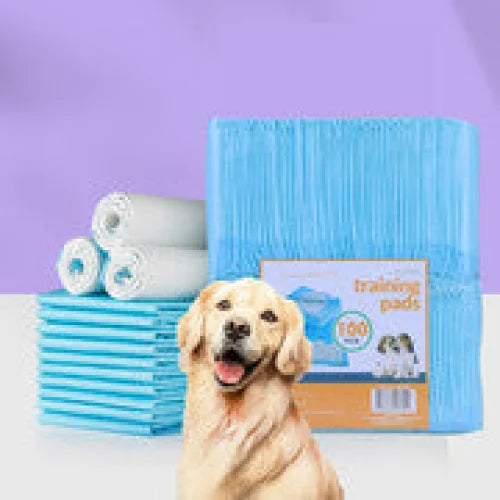 400pcs Dog Absorbent Training Pad 60 x 60 cm - Pet Care >