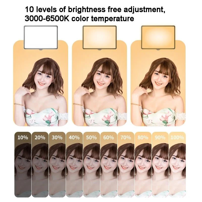 42cm Bracket Live Fill Light with 10 Three-colour