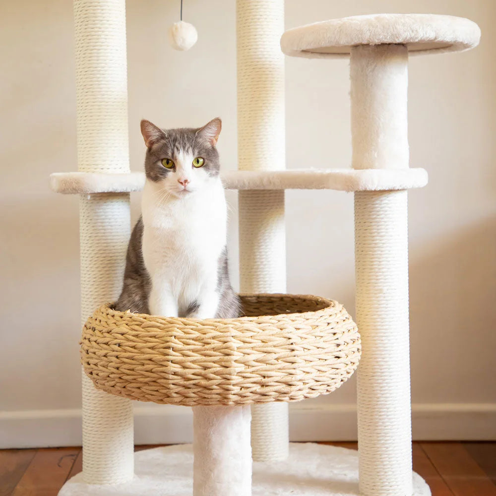 5-Platform Plush and Wicker Cat Tree - Pet Care