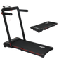 Centra 2 In 1 Treadmill