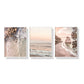 50cm x 70cm Amazing New Zealand 3 Sets White Frame Canvas