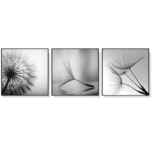 50cm x 50cm Botanical Dandelions 3 Sets Black Frame Canvas