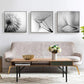 50cm x 50cm Botanical Dandelions 3 Sets Black Frame Canvas