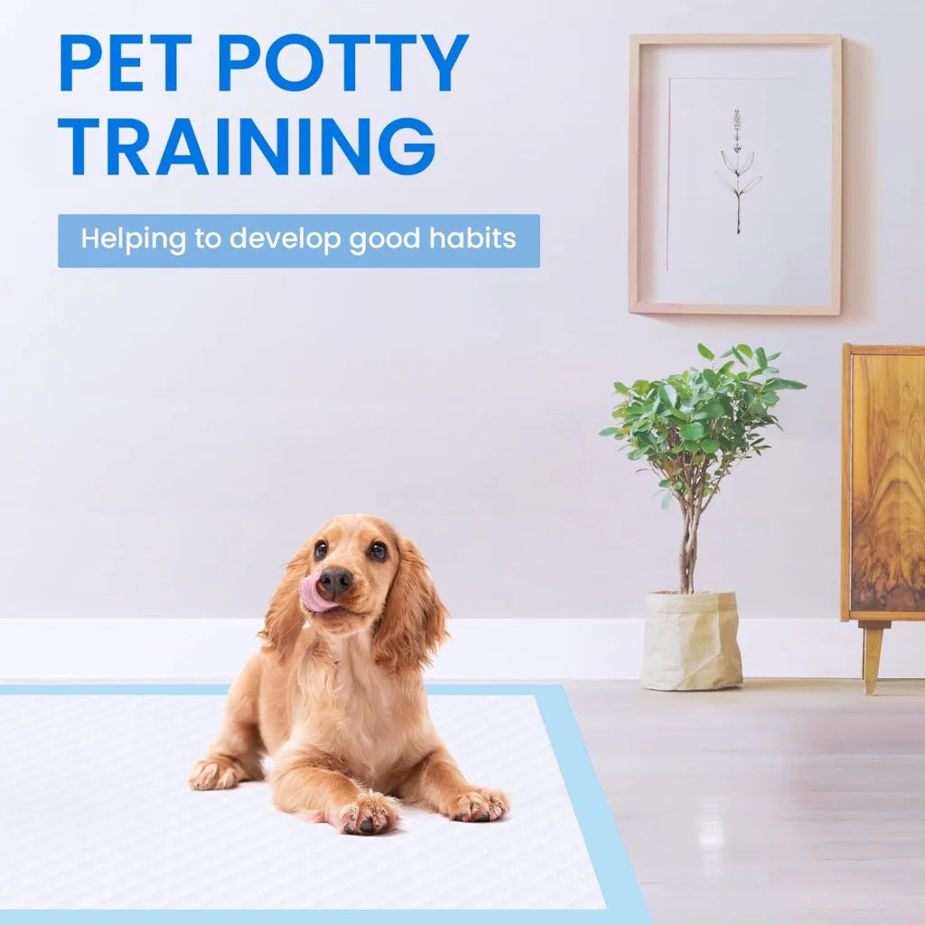60x90cm pet training pads with display setup and product form