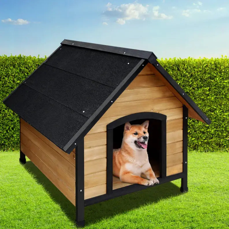 Give Your Pup the Comfort of Home: Why a Quality Outdoor