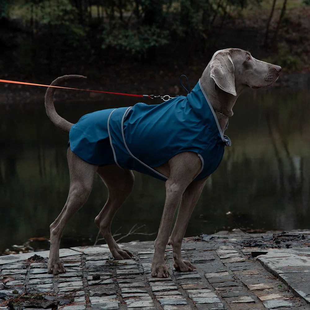 55# Blue Waterproof Reflective Dog Raincoat for Small