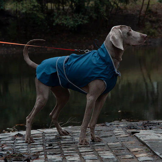 55# Blue Waterproof Reflective Dog Raincoat for Small