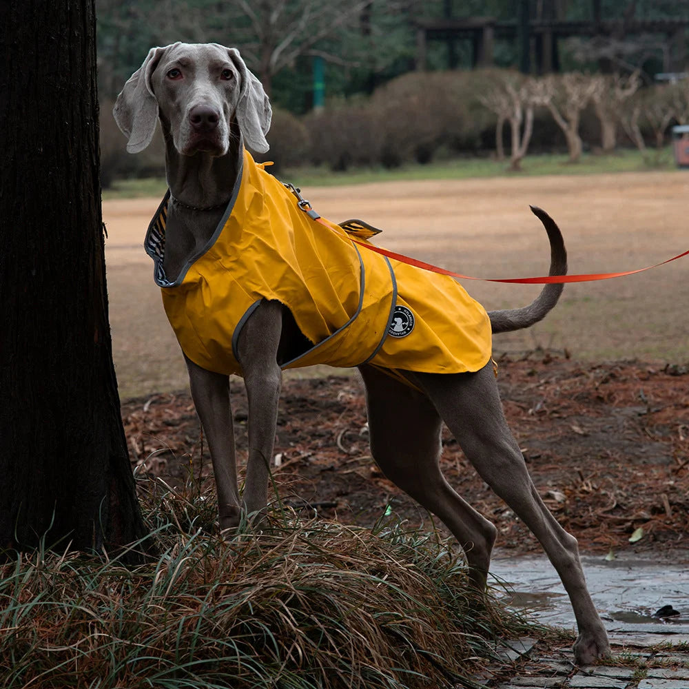 55# Yellow Waterproof Reflective Dog Raincoat for Small