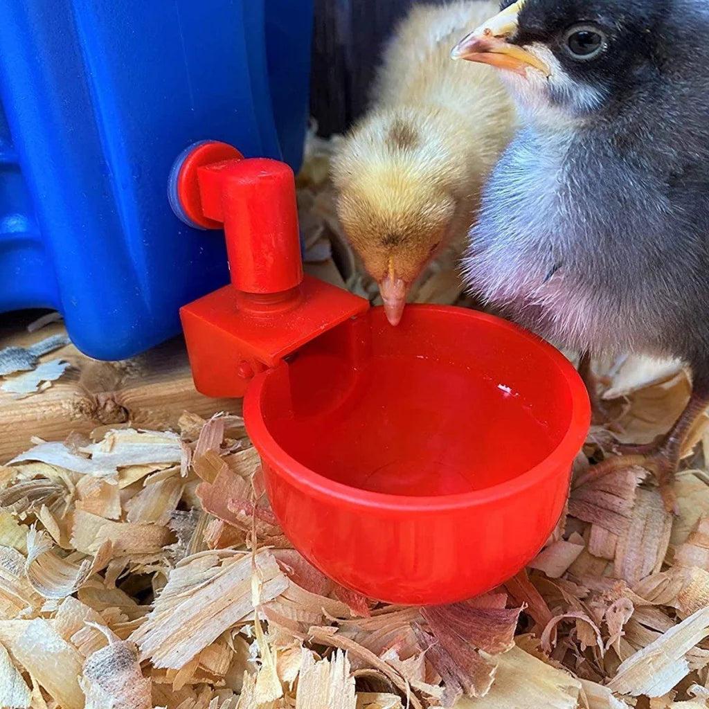 6x Automatic Chicken Water Cup Waterer Poultry Drinking