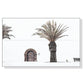 70cm x 100cm European Palm Tree White Frame Canvas Wall Art