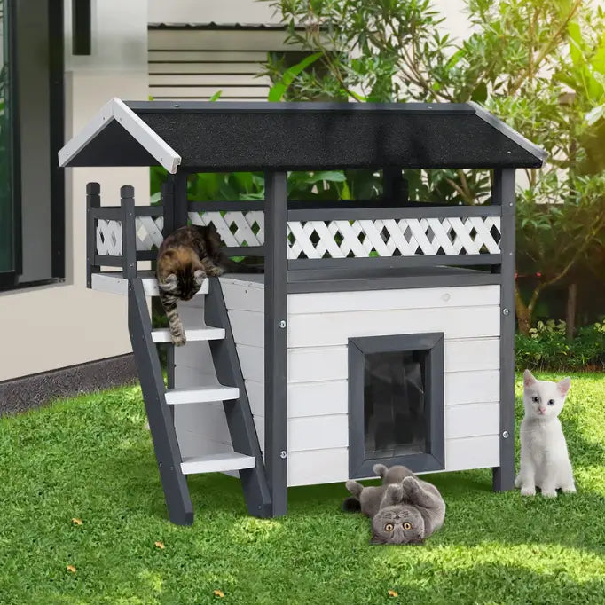 The Ultimate Guide to Choosing the Best Cat House
