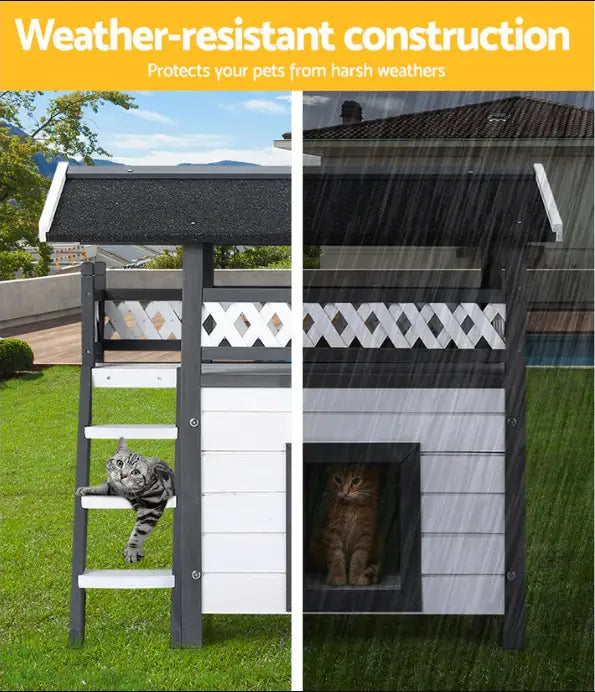 The Ultimate Guide to Choosing the Best Cat House