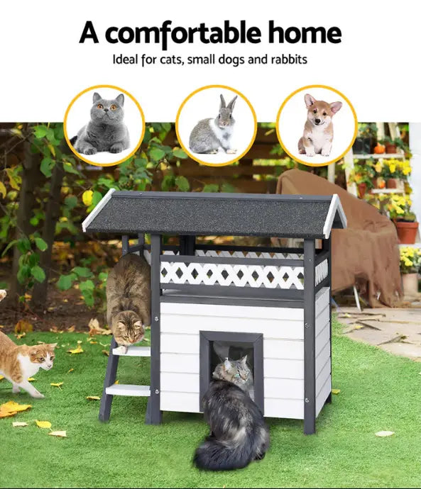 The Ultimate Guide to Choosing the Best Cat House