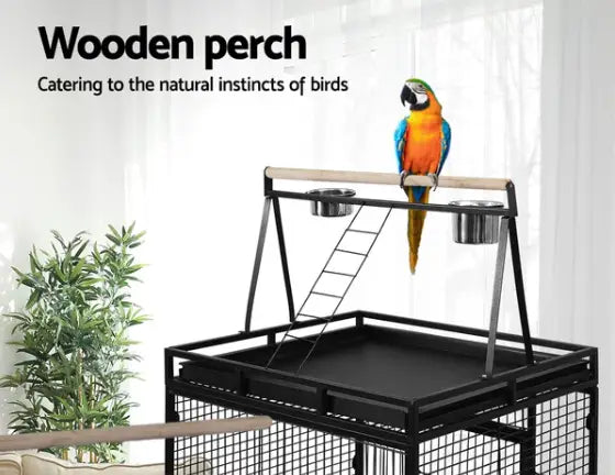 Choosing the Perfect Bird Cage: A Guide for Parrot & Pet