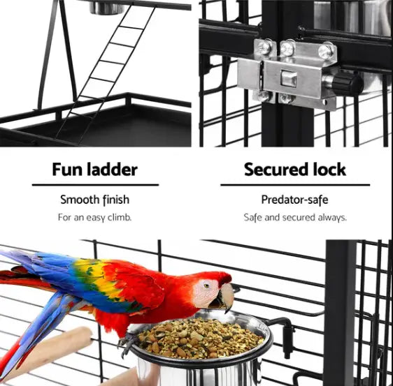 Choosing the Perfect Bird Cage: A Guide for Parrot & Pet