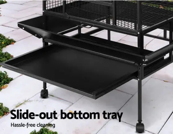 Choosing the Perfect Bird Cage: A Guide for Parrot & Pet