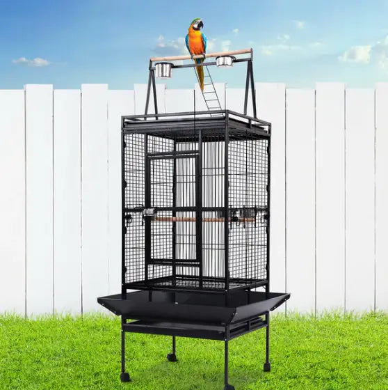 Choosing the Perfect Bird Cage: A Guide for Parrot & Pet