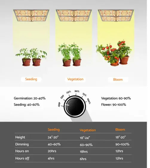 The Ultimate Guide to Using a LED Grow Light 4500W
