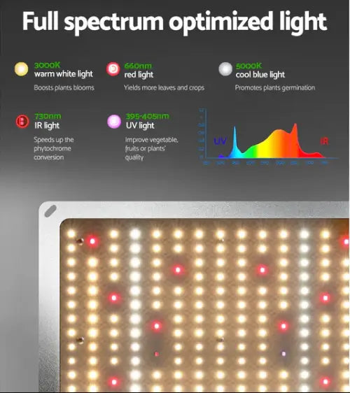 The Ultimate Guide to Using a LED Grow Light 4500W