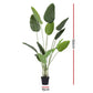 Artiss 150cm Artificial Bird of Paradise Plant Lifelike Textured Leaves Wipe-Clean Indoor Home Decor