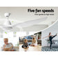 Ceiling Fan 64'' DC Motor with Light LED Remote Control 3 Blades