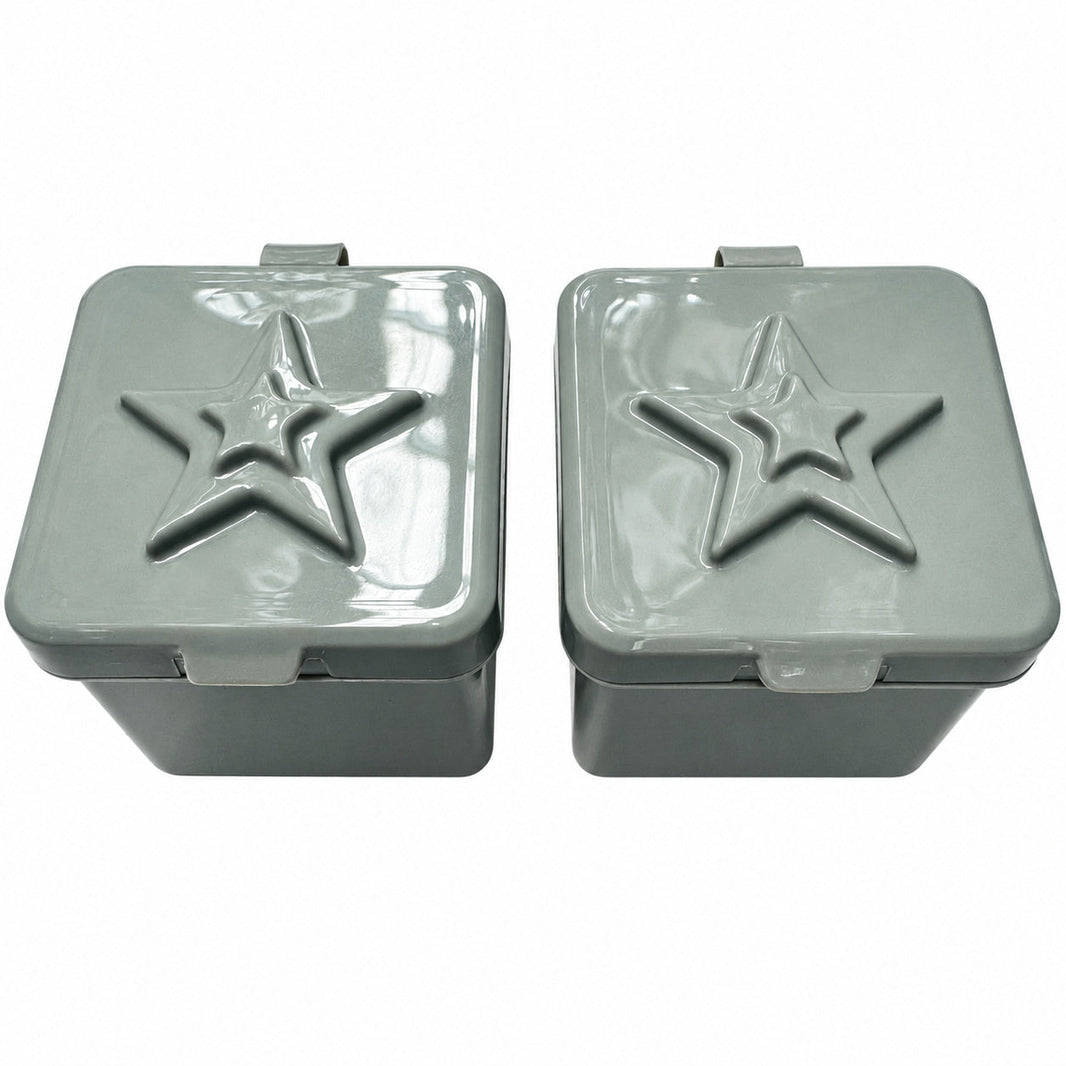 Bento Surprise Snack Boxes with Star Lids - Chrome