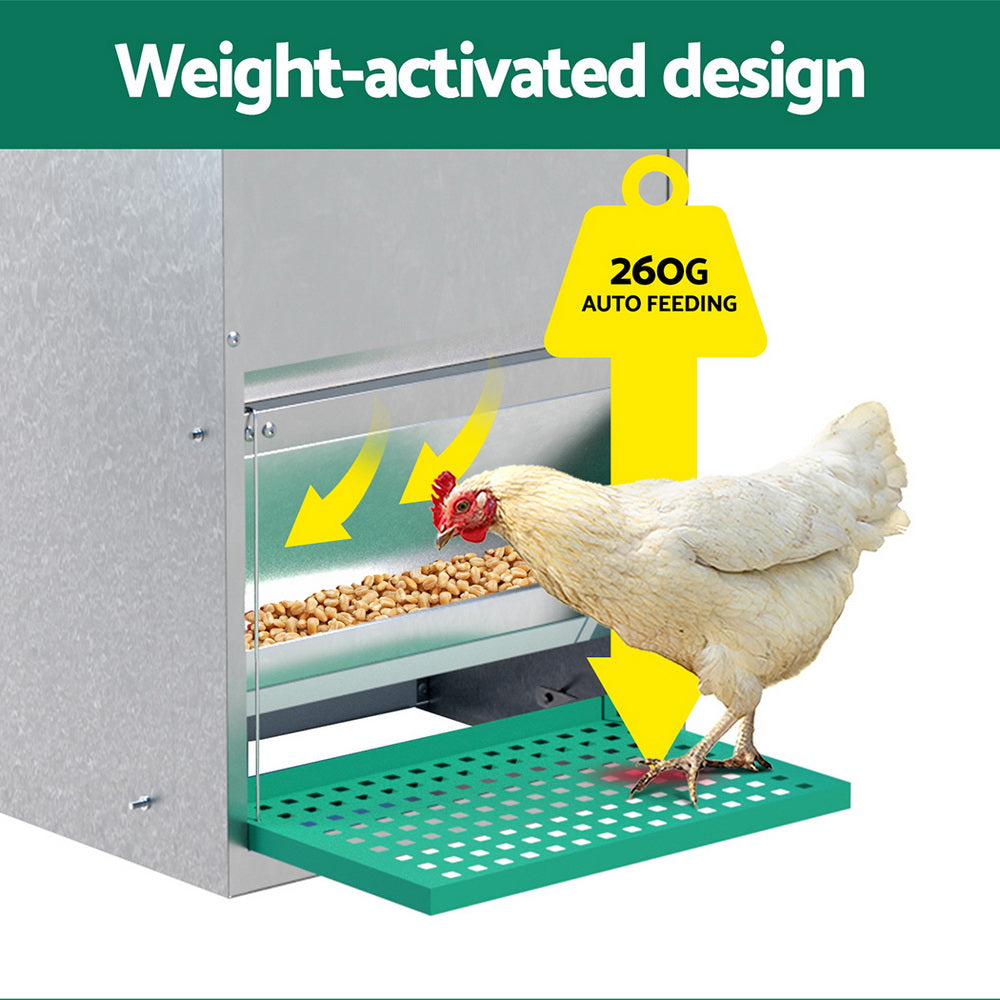 Automatic Chicken Feeder Port Coop Chick Poultry Treadle Self-Opening