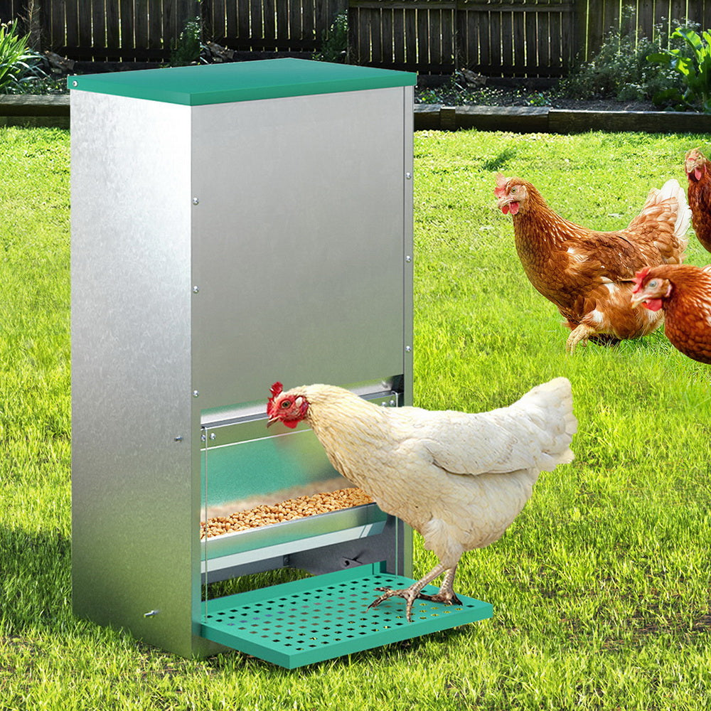 Automatic Chicken Feeder Port Coop Chick Poultry Treadle Self-Opening