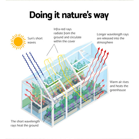 Winter Gardening: 10 Essential Tactics to Keep Your Plants