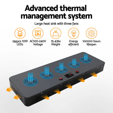 Winter Gardening: 10 Essential Tactics to Keep Your Plants