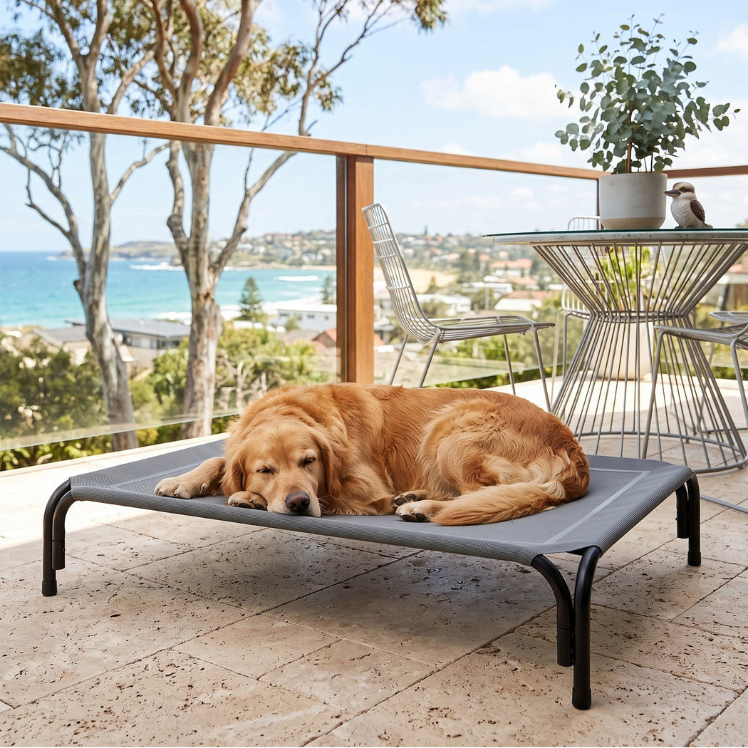 PaWz Raised Dog Bed Elevated Cooling Breathable Mesh for Indoor Outdoor Grey