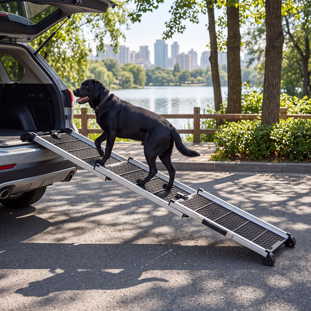 PaWz Dog Ramp Foldable Extendable with Reflective Strips Non Slip for Car Black