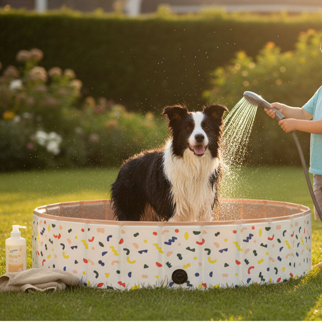 Pawz Dog Swimming Pool Foldable Pet Bath Portable 120cm