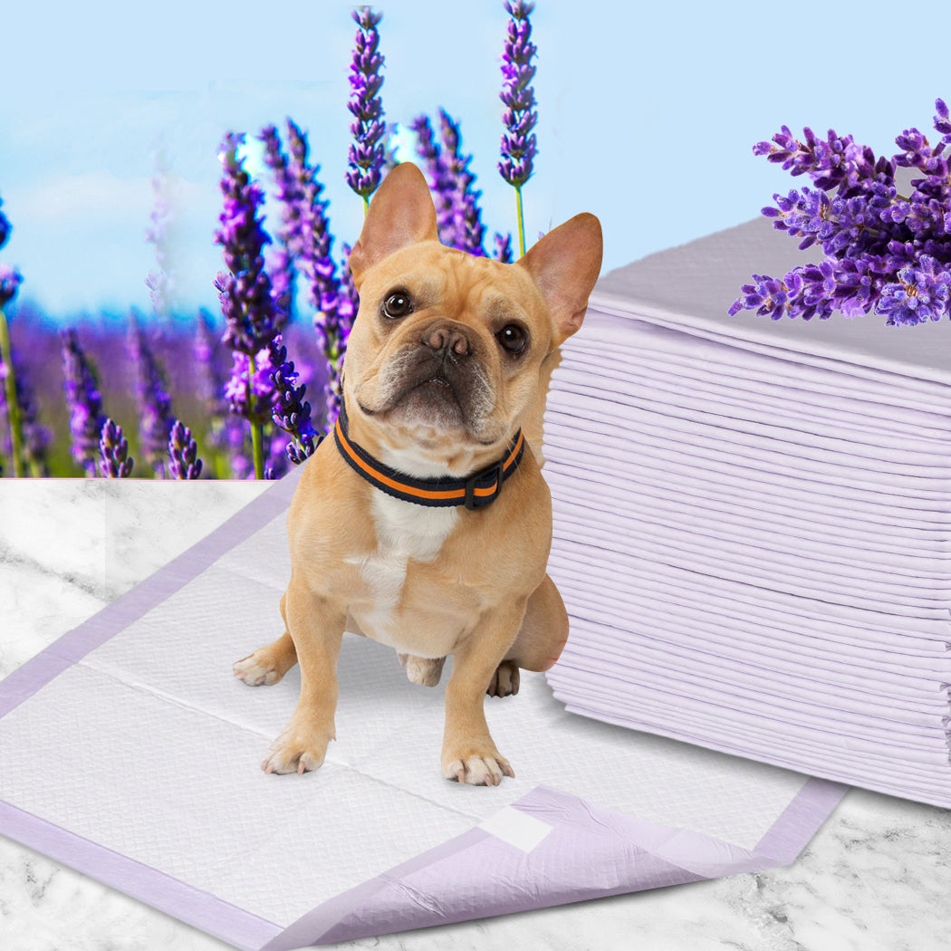 PaWz 200x Pet Dog Toilet Training Pad