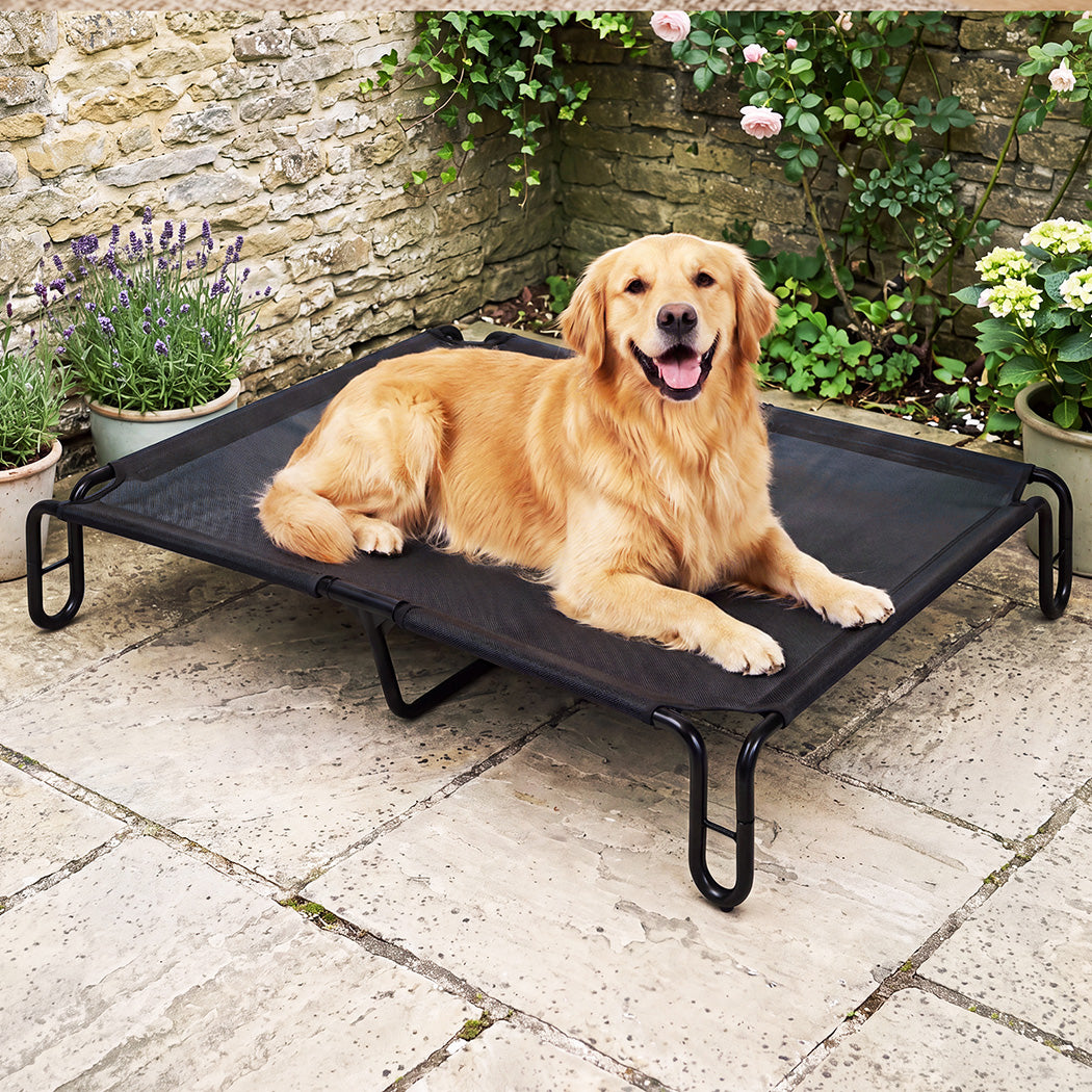 Pawz Elevated Dog Bed L Breathable Mesh Cooling for Indoor Outdoor Black
